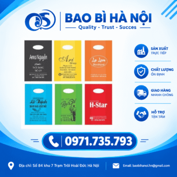 túi quai hạt xoài